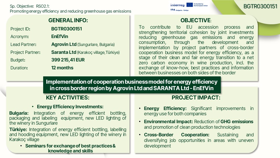 EnEfVin project overview